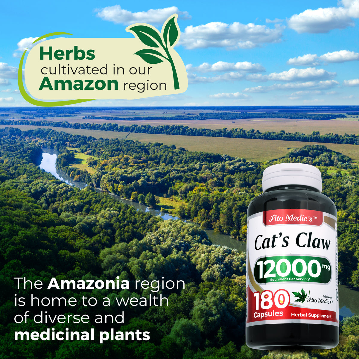 Cat’s Claw Extract 12,000 mg | 20:1 Concentrate | 180 Capsules | By Fito Medic's