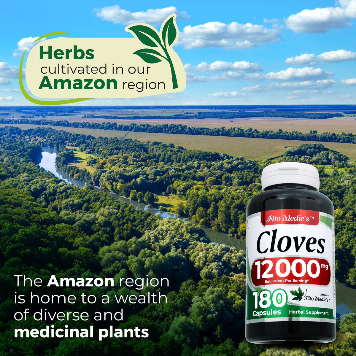 Clove Extract Capsules 12,000 mg | 20:1 Concentrate | 180 Capsules | By Fito Medic's