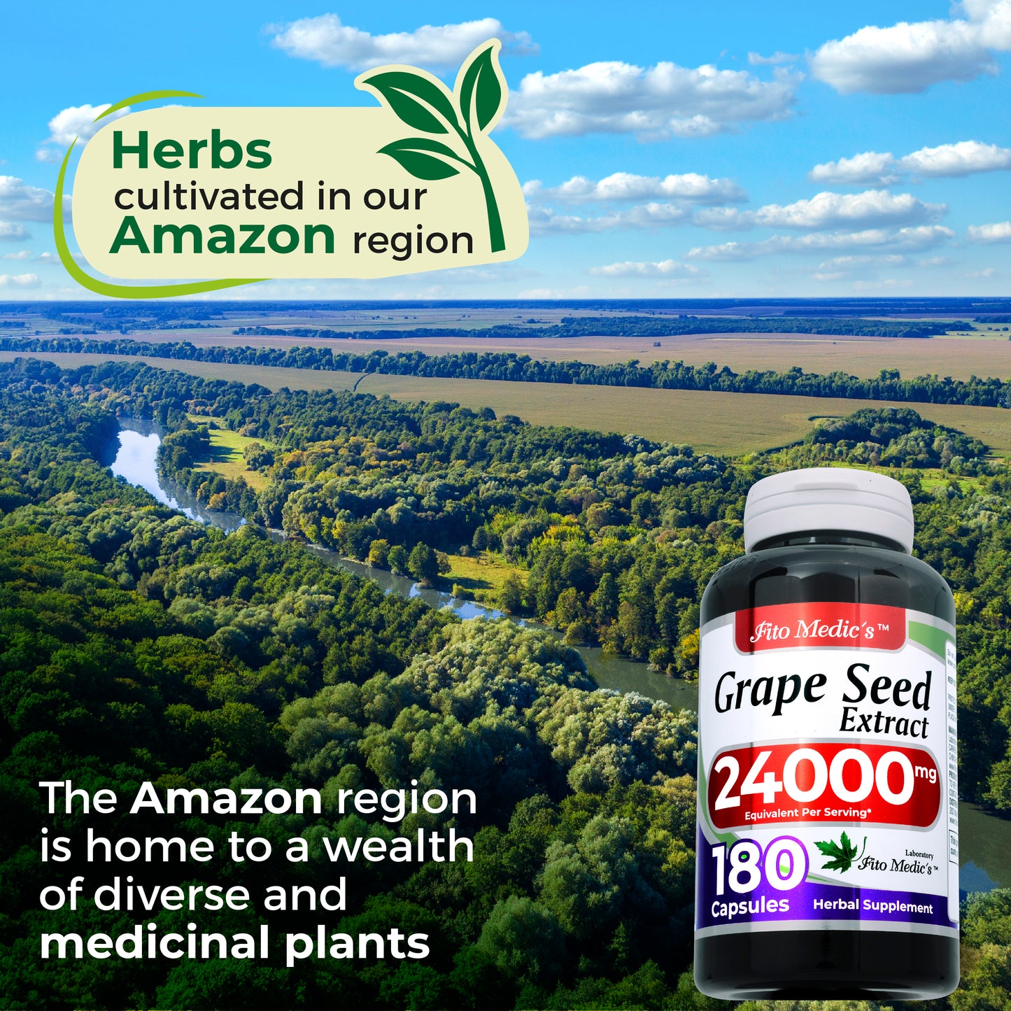 Grape Seed Extract - 24000 mg per serving - 180 Capsules - Ultra High Absorption