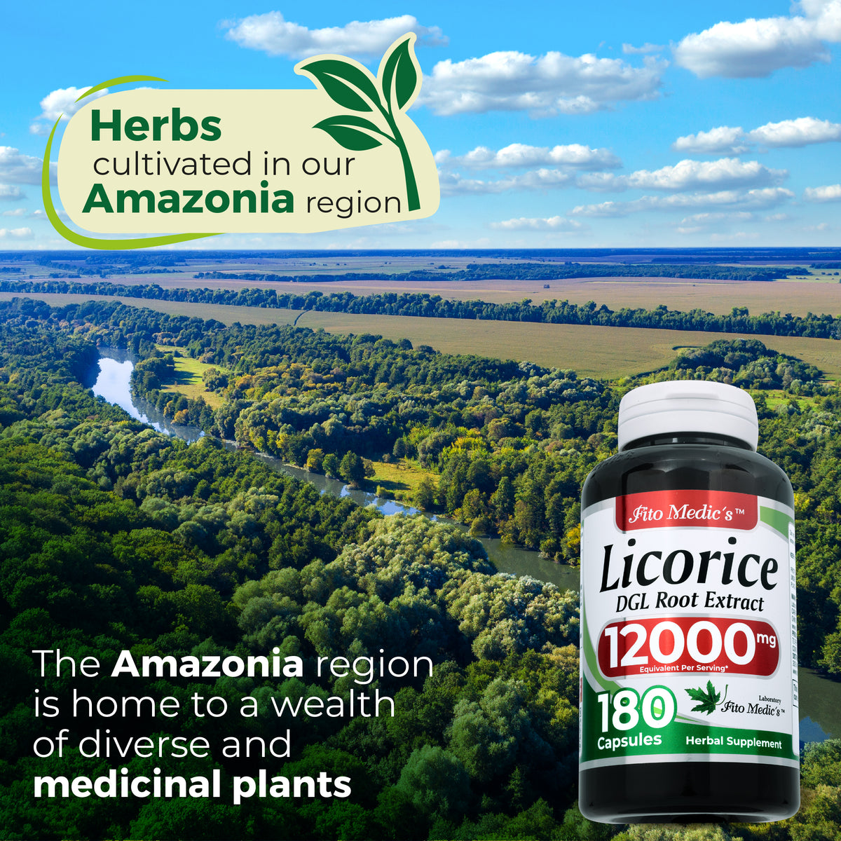 DGL Licorice Root Extract 12,000 mg | 20:1 Concentrate | 180 Capsules | By Fito Medic's