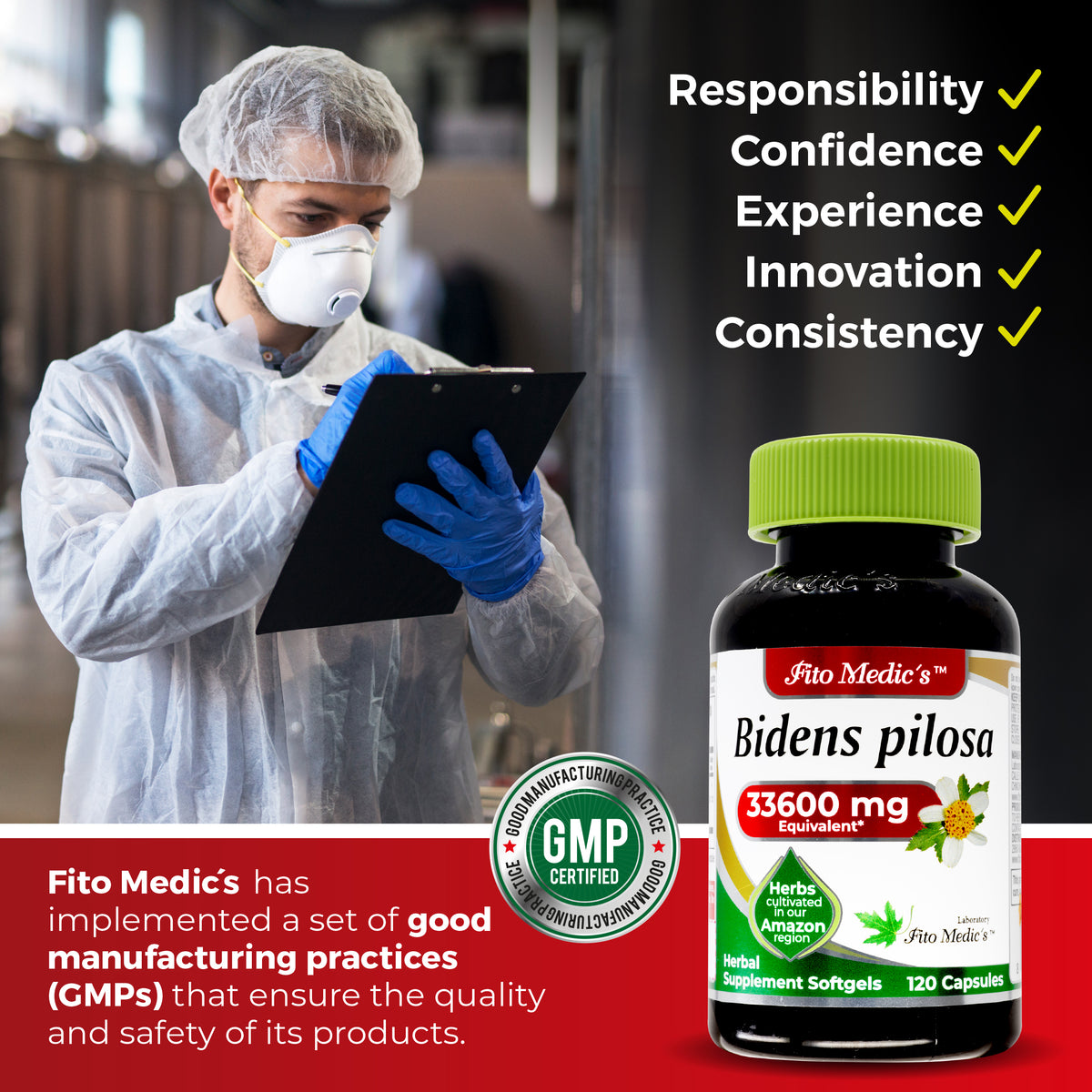 Bidens Pilosa Extract | 75:1 Concentrated Herbal Extract | 120 Softgels | By Fito medic's