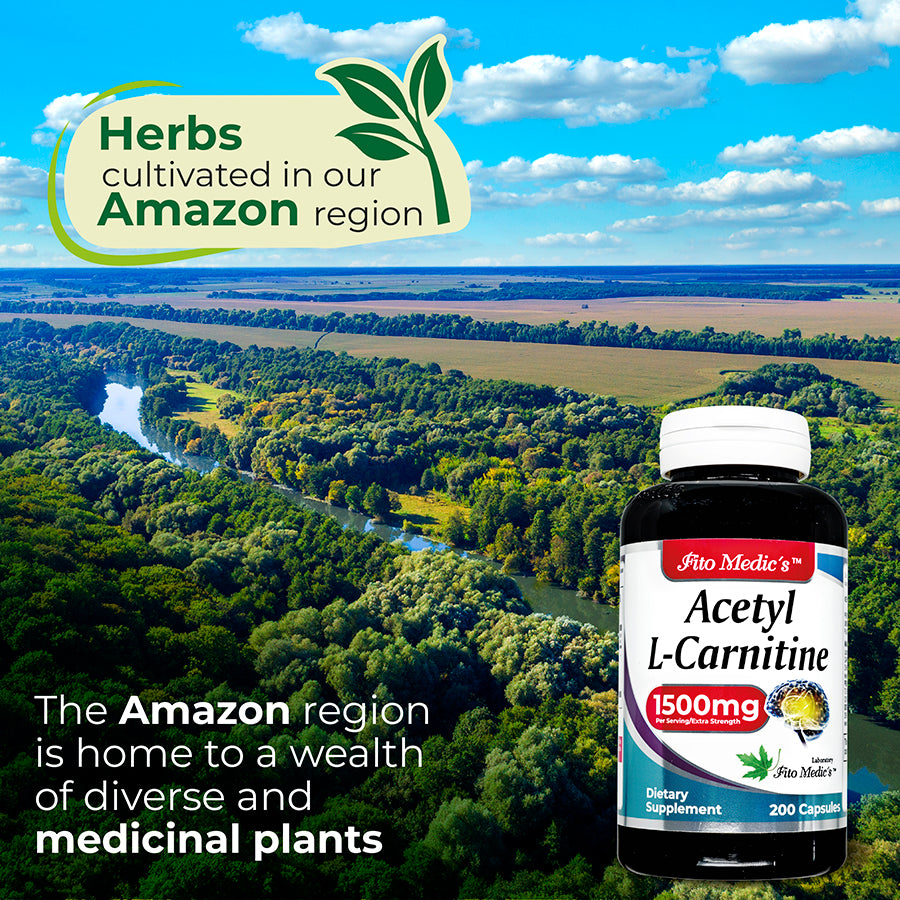 Acetyl L-carnitine - 200 Capsules - Ultra High Absorption