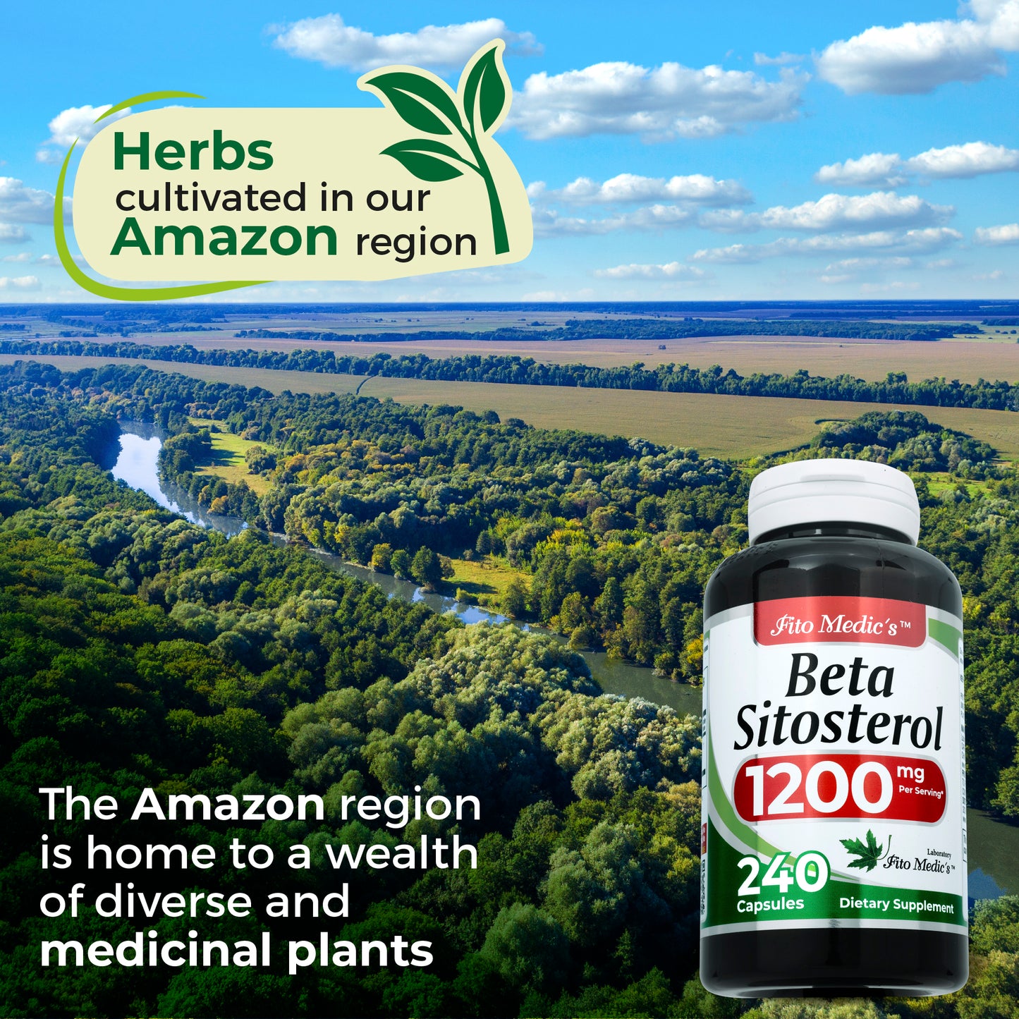 Beta sitosterol | 240 capsules | 1200 mg | Ultra high Absorption