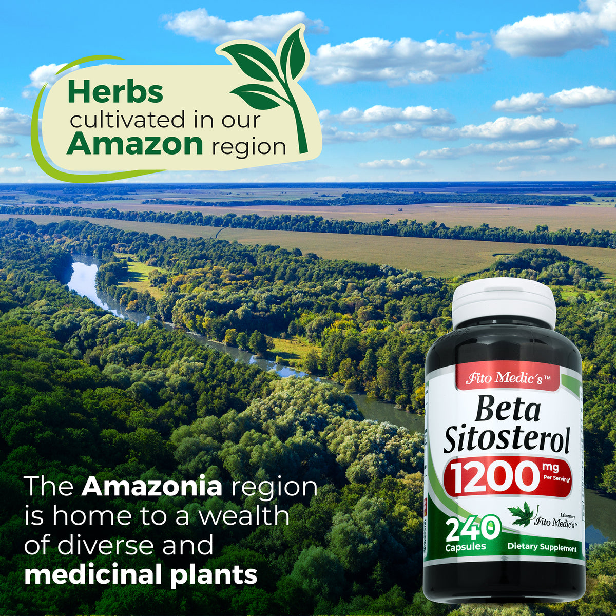 Beta Sitosterol 1200 mg | Supplement | 240 Capsules | By Fito Medic's