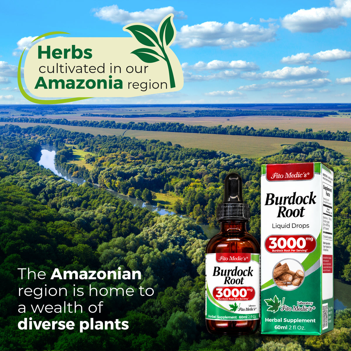 Burdock Root Drops 3000 mg | 10:1 Liquid Extract | 2 fl oz | By Fito Medic's Lab
