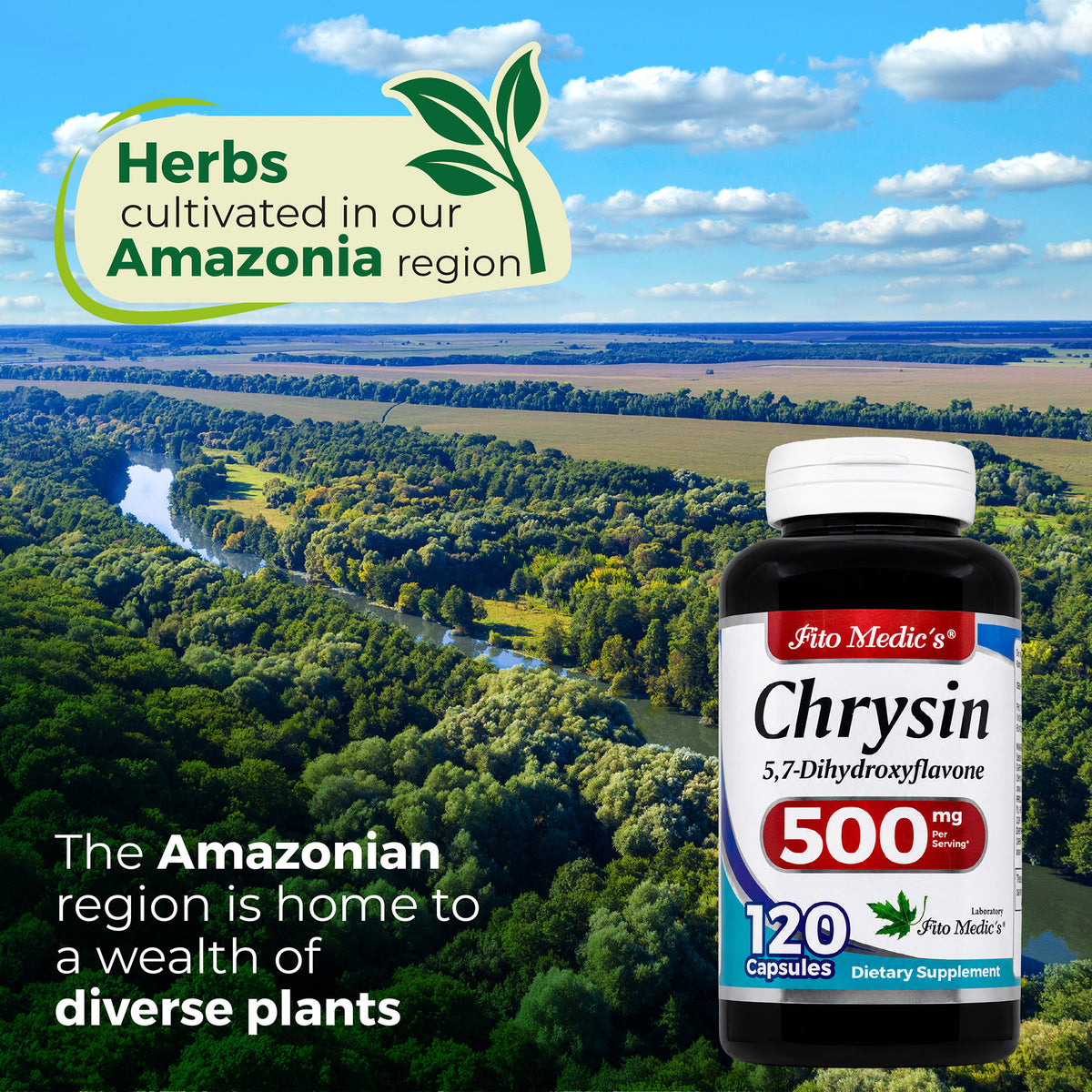 Chrysin 500 mg | 120 Capsules | By Fito medic's