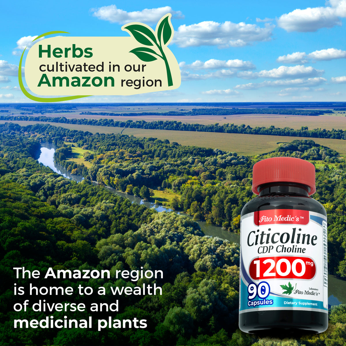 Citicoline 1,200 mg per serving – CDP Choline | 90 Capsules | By Fito Medic's