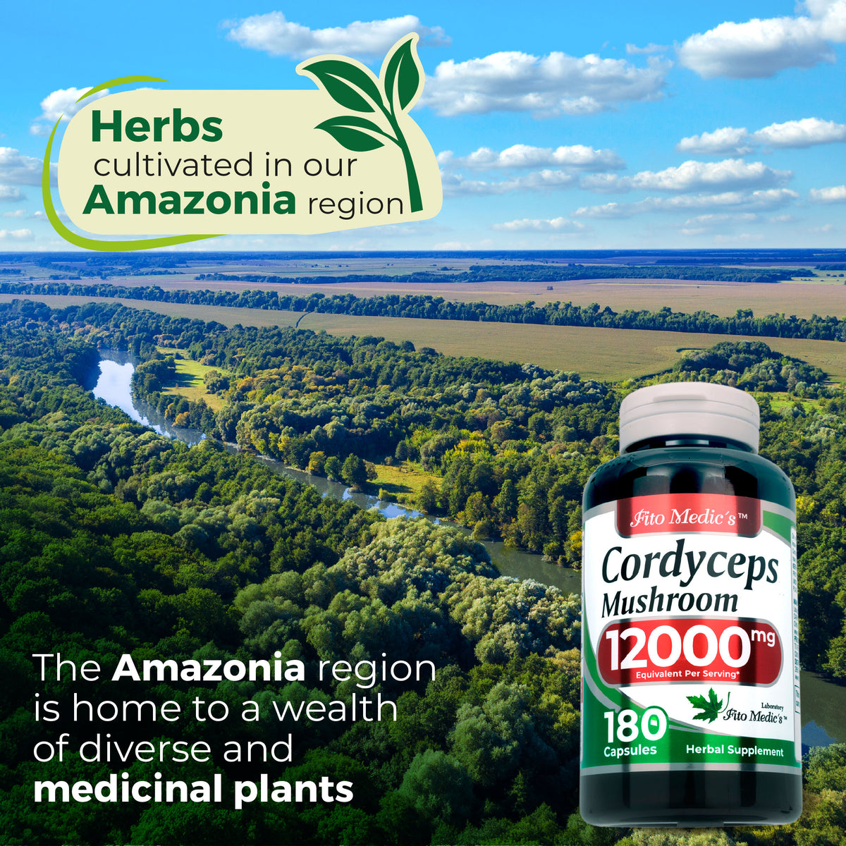 Cordyceps Mushroom Extract 12,000 mg Equivalent | 20:1 Concentrate | 180 Capsules | By Fito Medic's