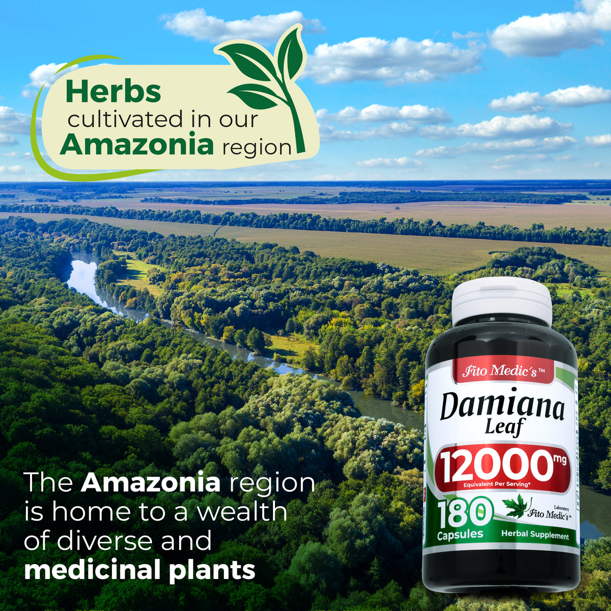 Damiana Leaf Extract 12,000 mg | 20:1 Concentrate | 180 Capsules | By Fito Medic's