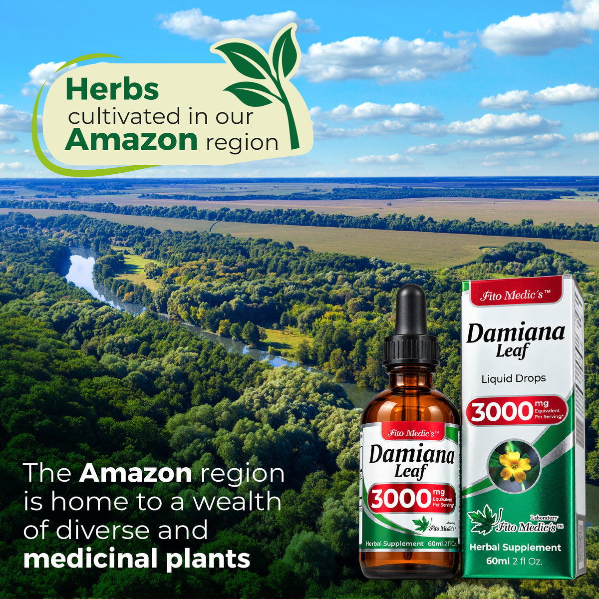 Damiana Leaf Drops 3000 mg | 10:1 Liquid Extract | 2 fl oz | By Fito Medic's Lab