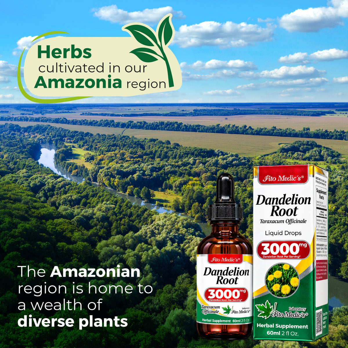 Dandelion Root Drops 3000 mg – 10:1 Liquid Extract | 2 fl oz | By Fito Medic's