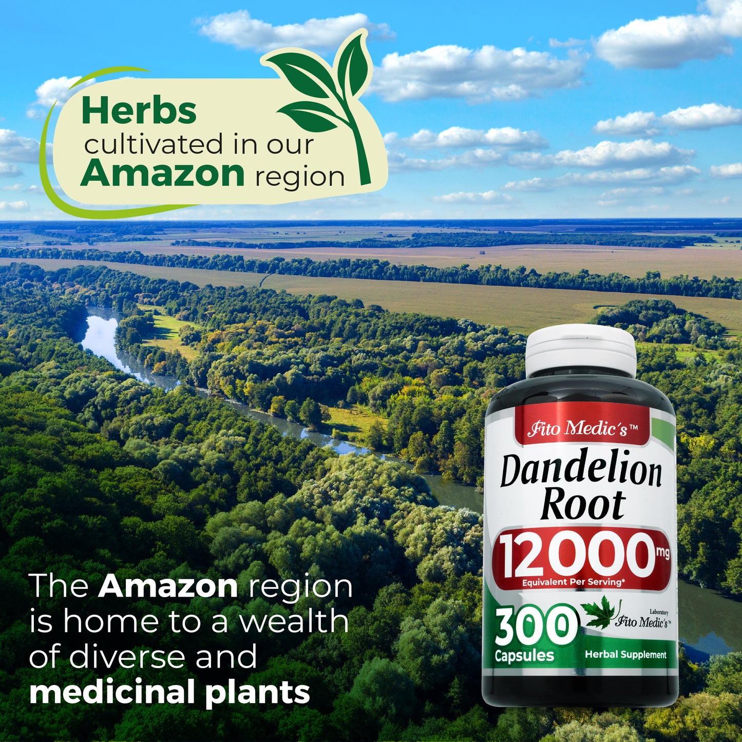 Dandelion Root - 300 Capsules - Concentrated Extract - Highly Absorbable Herbal Supplement