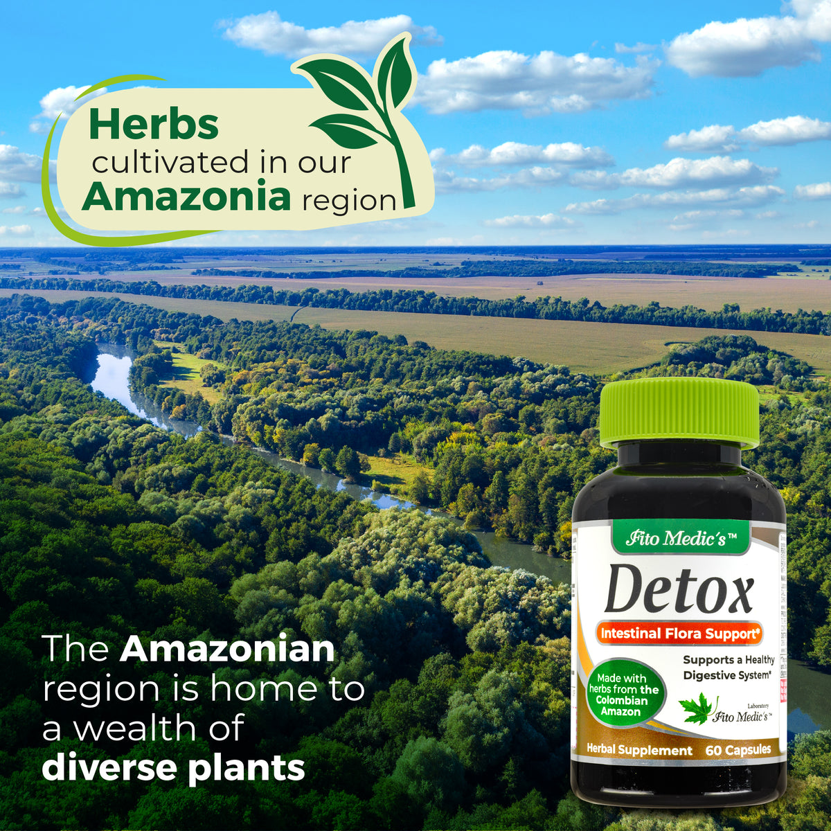 Herbal Detox & Digestive Blend | 9 Botanical Ingredients | 60 Capsules | By Fito Medic's