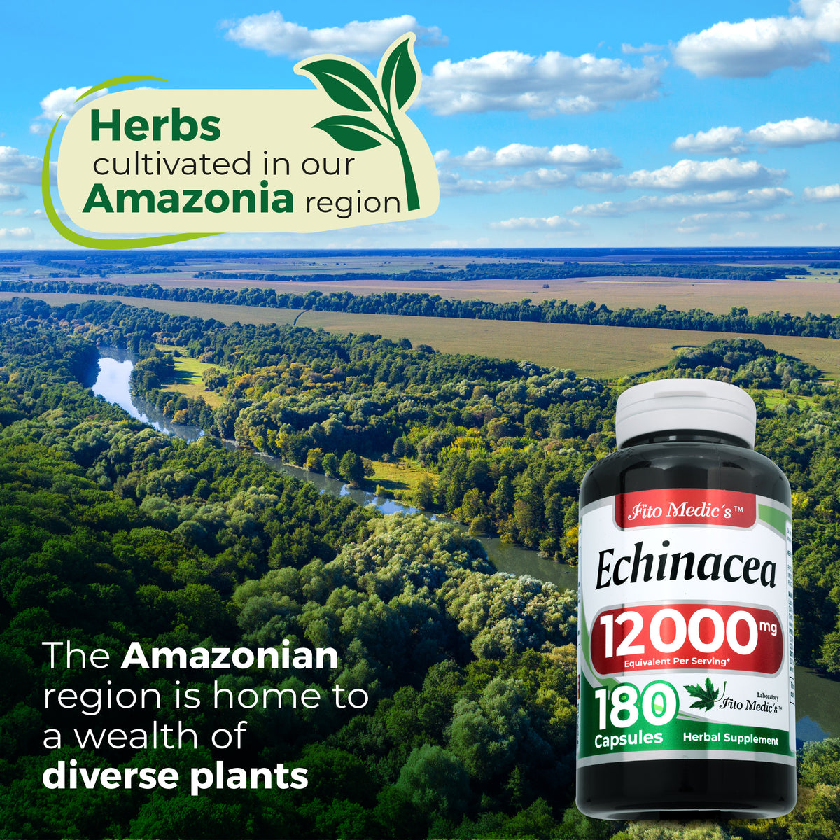 Echinacea Leaf Extract Capsules 12,000 mg | 20:1 Concentrate | 180 Capsules | By Fito Medic's