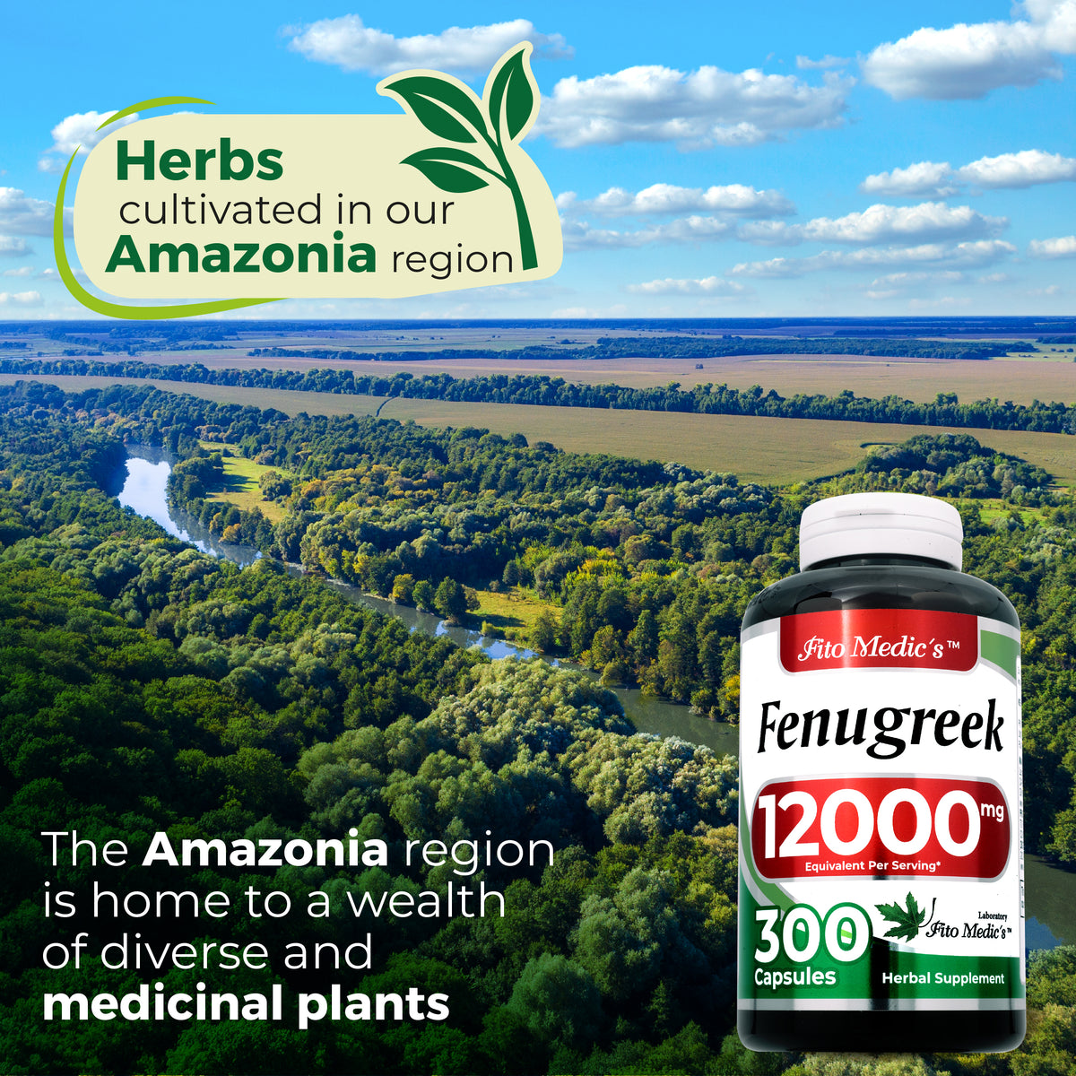 Fenugreek Extract 12,000 mg | 20:1 Concentrate | 300 Capsules | By Fito Medic's