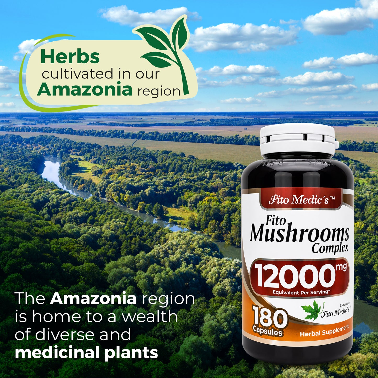 Fito Medic's Fito Mushrooms Complex | 12000mg Equivalent Per Serving | 180 Capsules