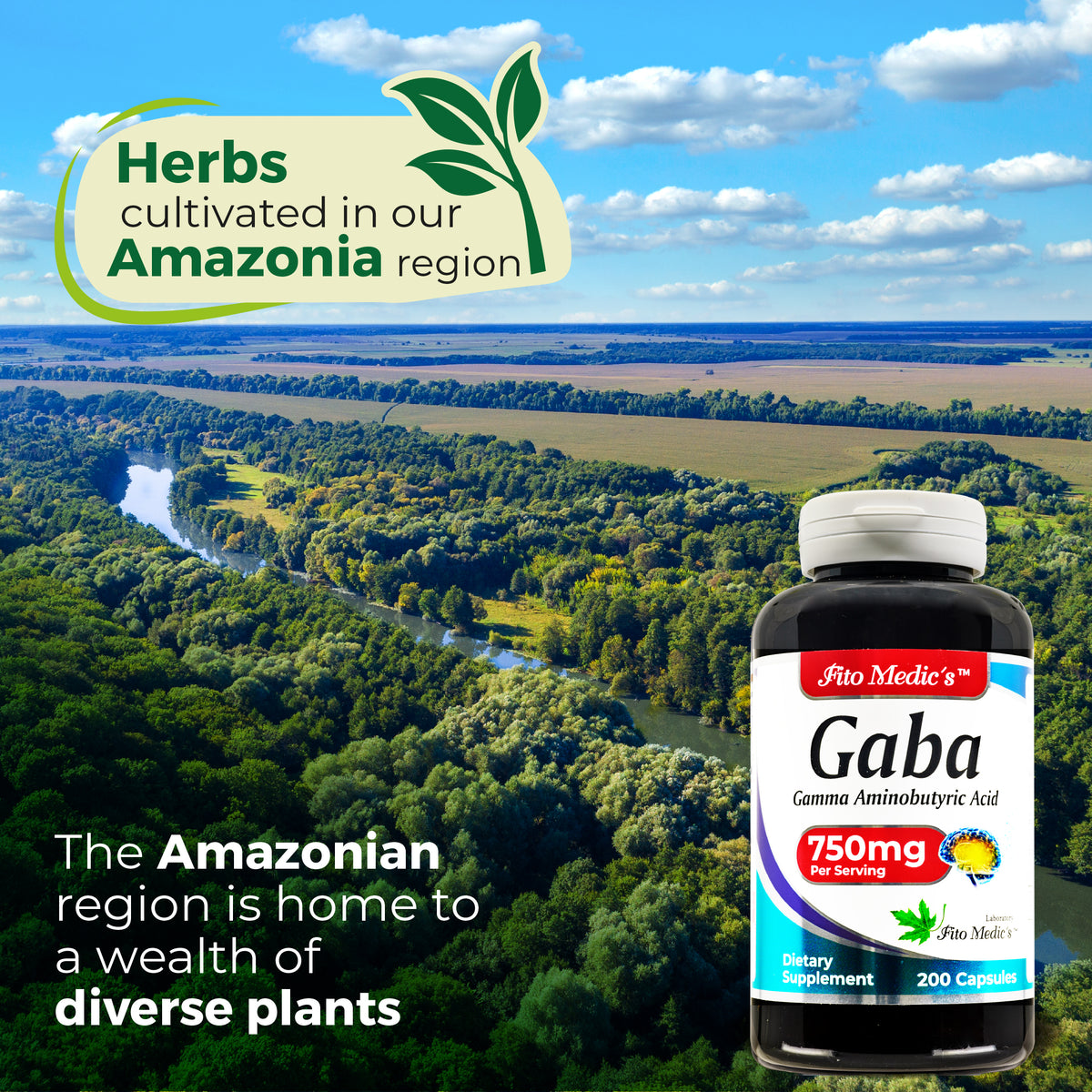 GABA 750 mg | Gamma-Aminobutyric Acid | 200 Capsules | By Fito Medic's