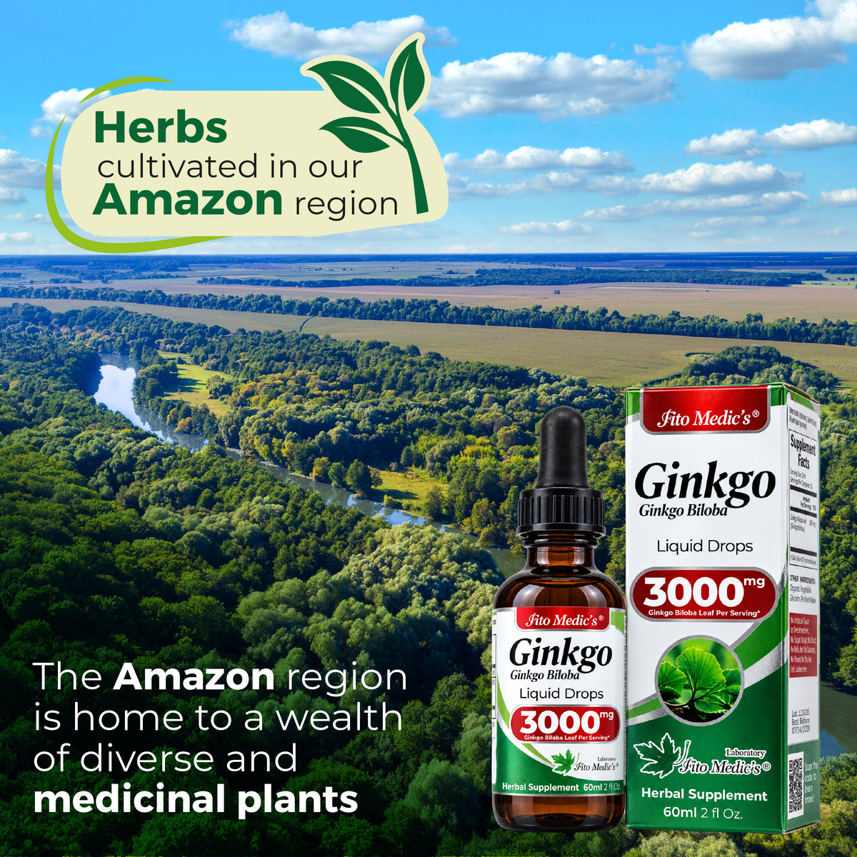 Ginkgo Biloba Drops 3000 mg – 10:1 Liquid Extract | 2 fl oz | By Fito Medic's