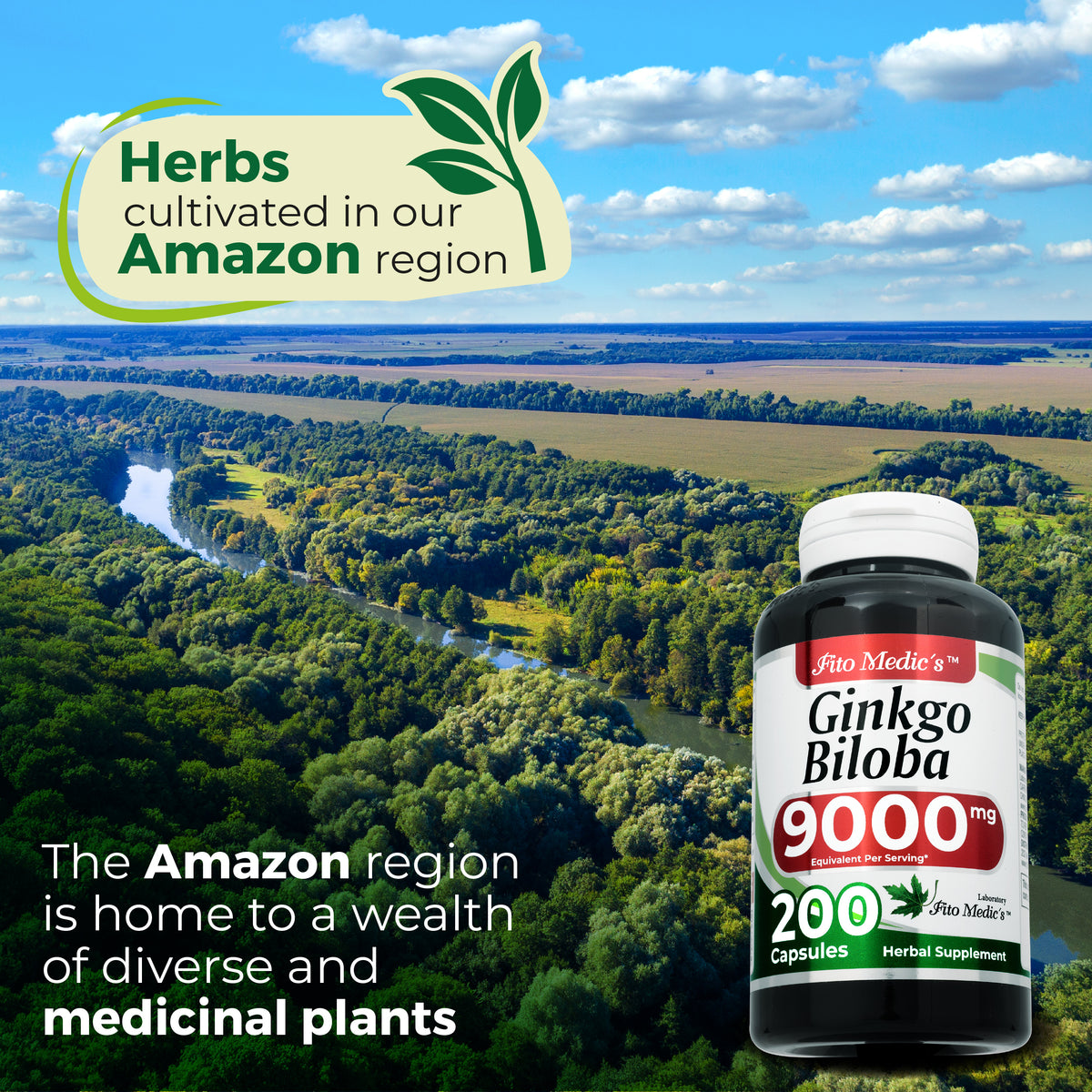 Ginkgo Biloba Leaf Extract 9,000 mg | 10:1 Concentrate | 200 Quick-Release Capsules | By Fito Medic's