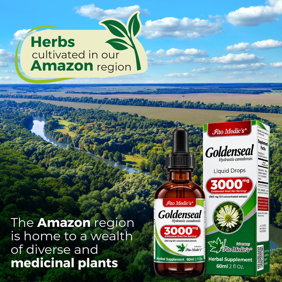 Goldenseal Root Drops 3000 mg | 10:1 Liquid Extract | 2 fl oz | By Fito Medic's