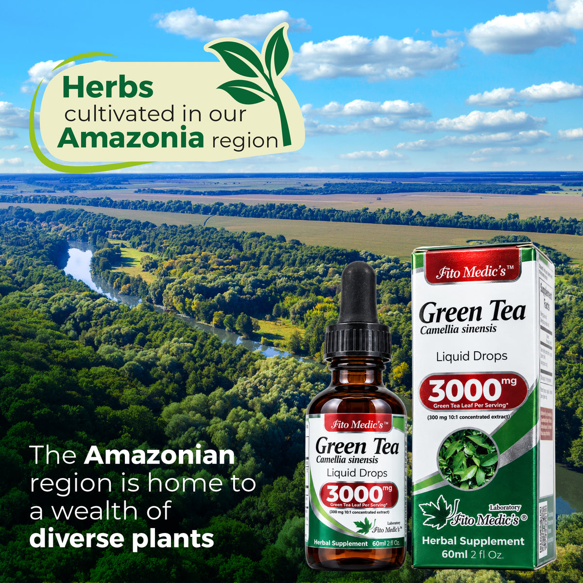 Green Tea Extract Drops 3000 mg | 10:1 Liquid Extract | 2 fl oz | By Fito Medic's