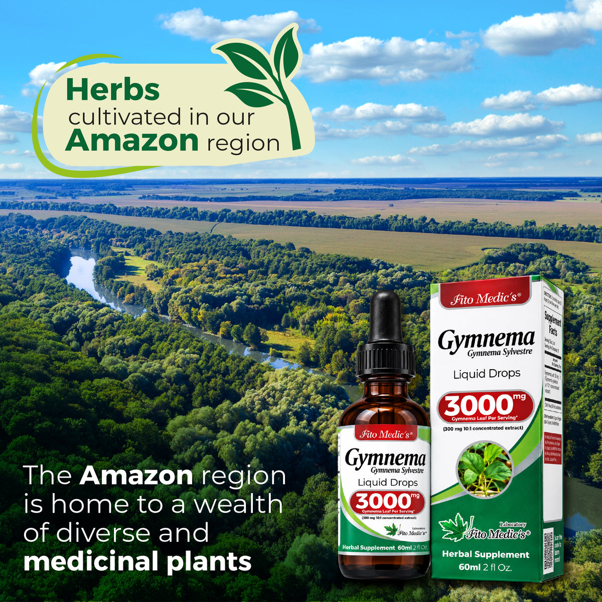 Gymnema Sylvestre Leaf Extract 3,000 mg Equivalent | 10:1 Concentrate | 2 fl oz Liquid Drops | 60 mL | By Fito Medic's