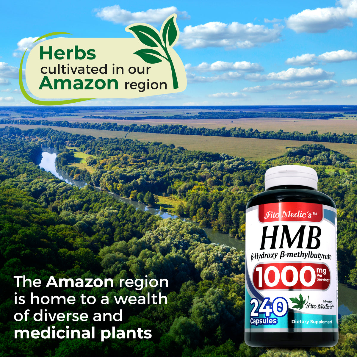HMB 1000 mg | Calcium Beta-Hydroxy Beta-Methylbutyrate | 240 Capsules | By Fito Medic's