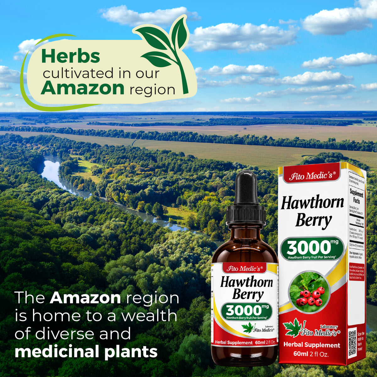 Hawthorn Berry Drops 3000 mg | 10:1 Liquid Extract | 2 fl oz | By Fito Medic's Lab