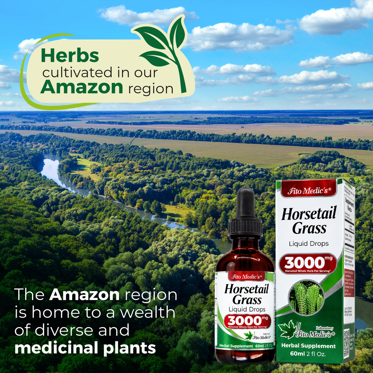 Horsetail Grass Drops 3000 mg | 10:1 Liquid Extract | 2 fl oz | By Fito Medic's Lab