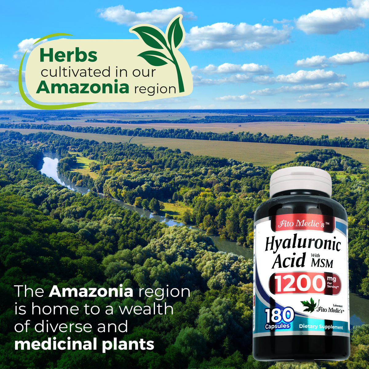 Hyaluronic Acid with MSM 1,200 mg | Hyaluronic Acid/MSM Blend Complex | 180 Capsules | By Fito Medic's