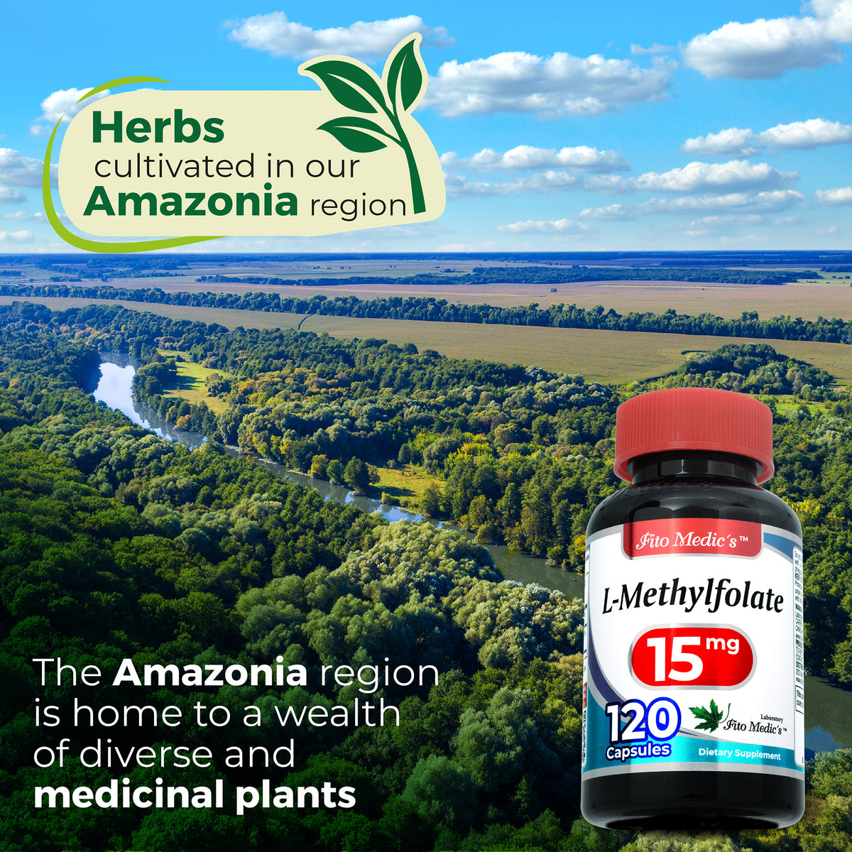 L-Methylfolate 15 mg – 25,000 mcg DFE Folate | 120 Capsules | By Fito Medic's