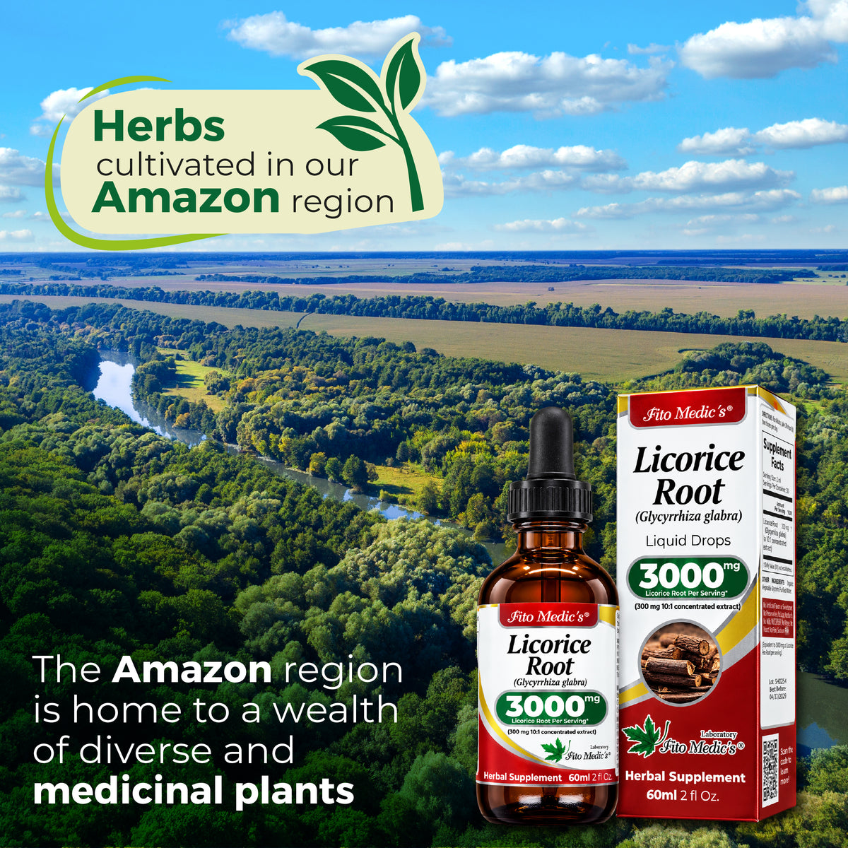 Licorice Root Drops 3000 mg | 10:1 Liquid Extract | 2 fl oz | By Fito Medic's Lab