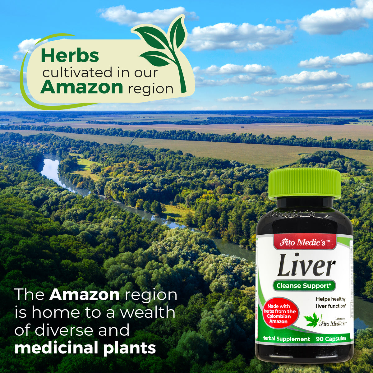 Liver Support Herbal Blend | Milk Thistle, Artichoke, Boldo & Rhubarb | 90 Capsules | By Fito Medic's