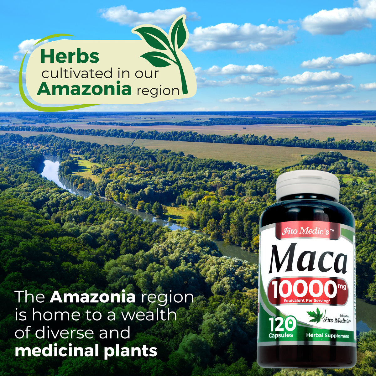 Maca Root Extract 10,000 mg | 10:1 Concentrated Extract | 120 Capsules | By Fito medic's