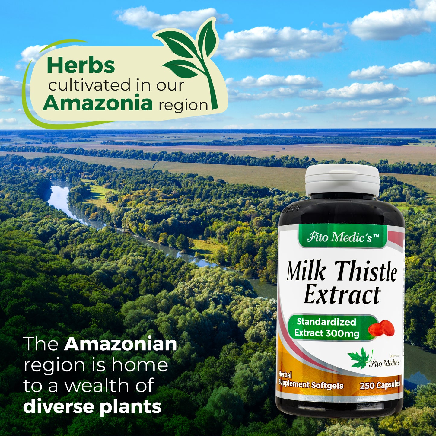 Lab - Milk thistle | Detox cleanse support | Liver support | 250 Soft Gels | Milk Thistle  Pills