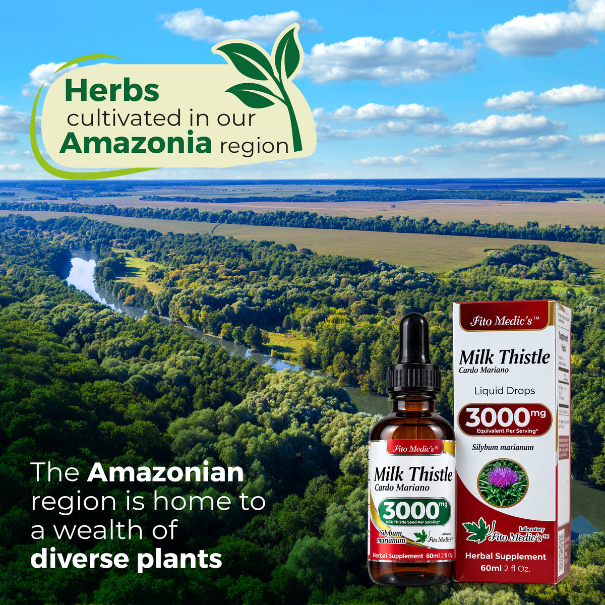 Milk Thistle Drops 3000 mg | 10:1 Liquid Extract | 2 fl oz | By Fito Medic's Lab