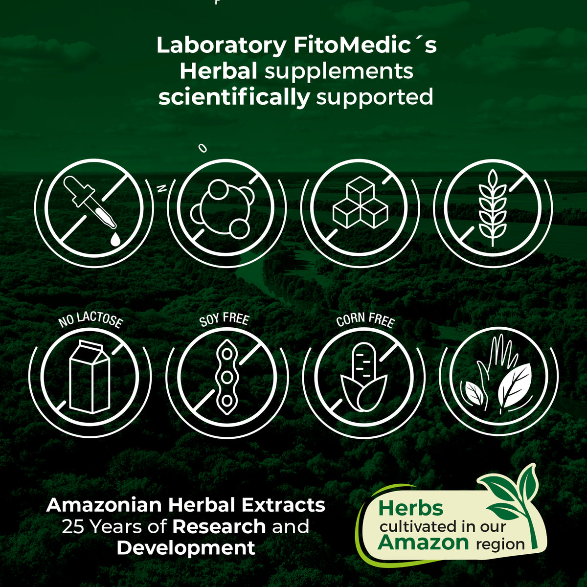 Moringa Leaf Extract 12,000 mg | 20:1 Concentrate | 180 Quick-Release Capsules | By Fito Medic's