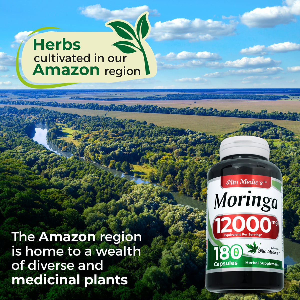 Moringa Leaf Extract 12,000 mg | 20:1 Concentrate | 180 Quick-Release Capsules | By Fito Medic's