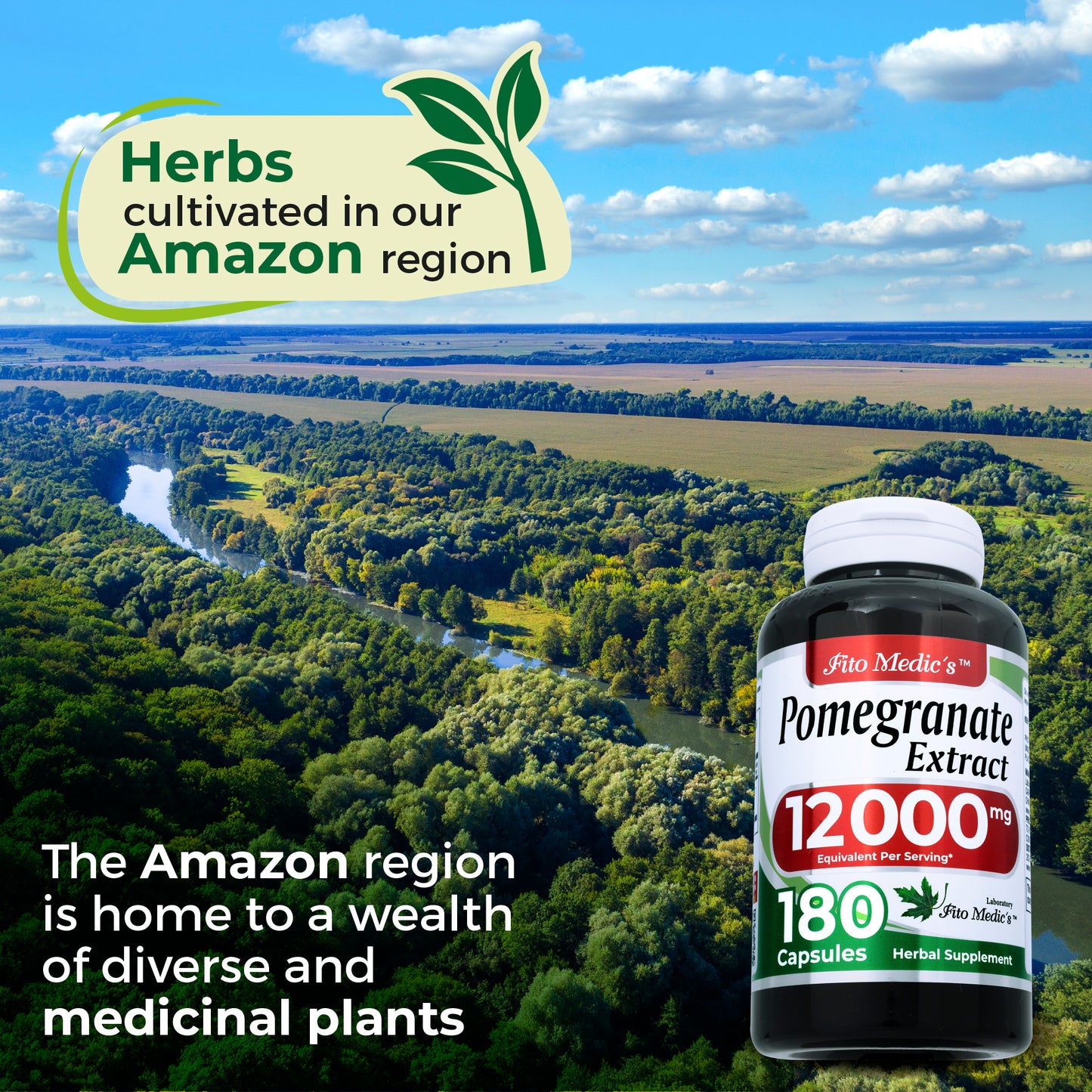 Pomegranate Extract | 180 Capsules Concentrate Extract | Herbal Supplement High Absorption