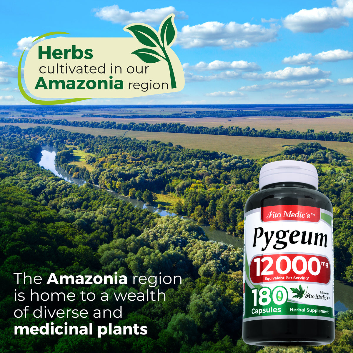Pygeum Bark Extract 12,000 mg | 20:1 Concentrate | 180 Capsules | By Fito Medic's