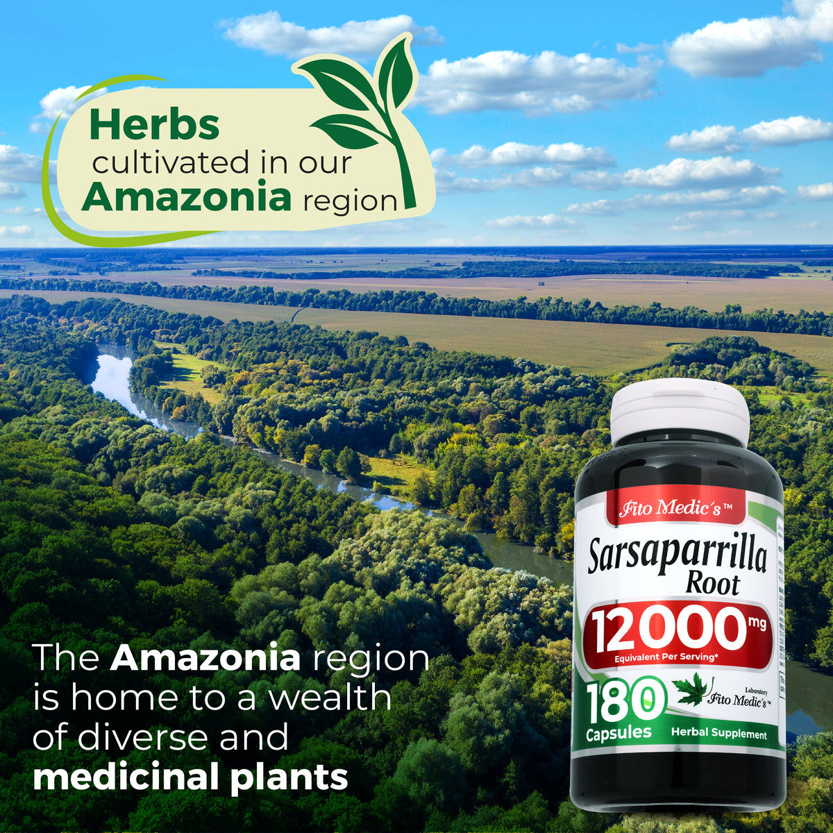 Sarsaparilla Root Extract 12,000 mg | 20:1 Concentrate | 180 Quick-Release Capsules | By Fito Medic's