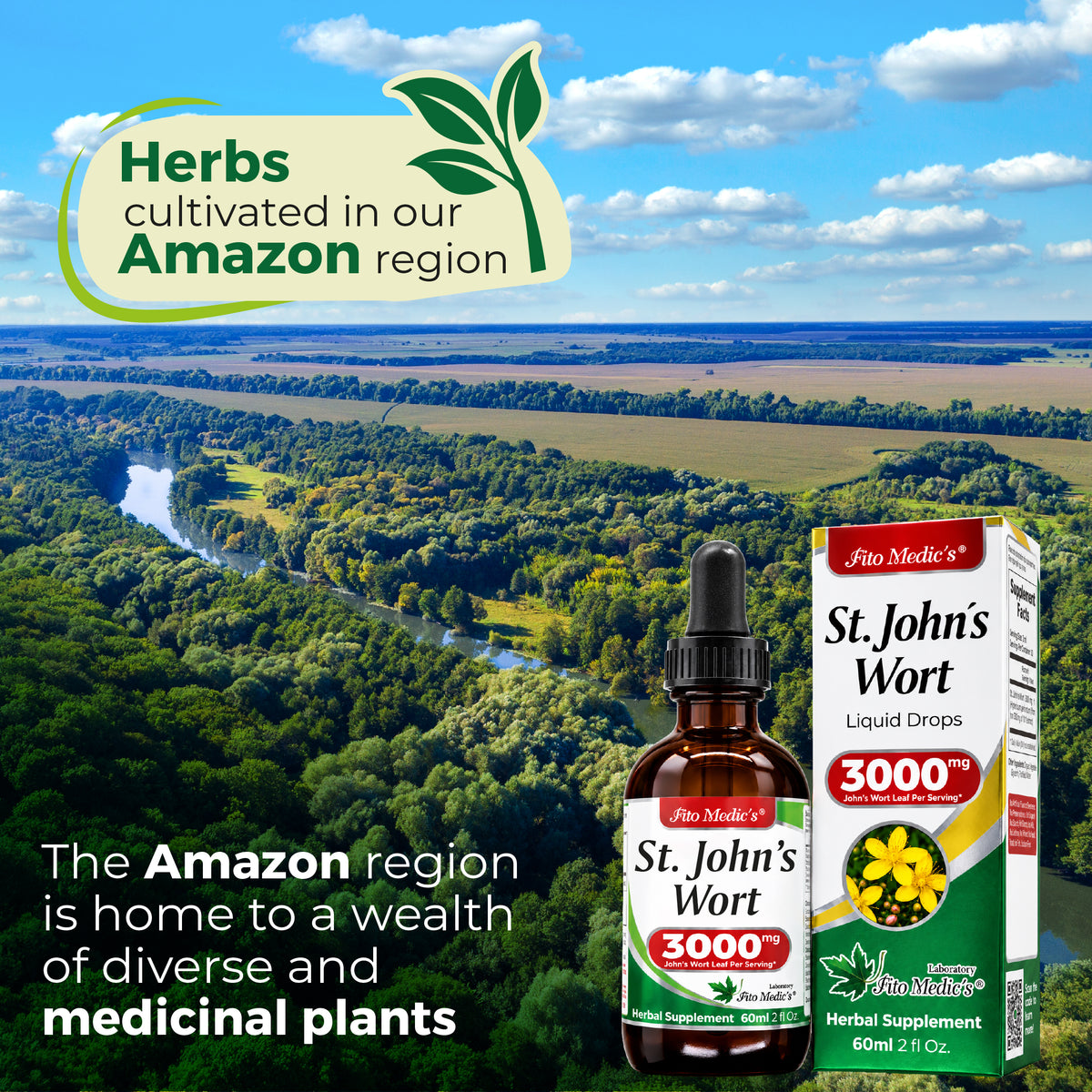 St. John’s Wort Drops 3000 mg | 10:1 Liquid Extract | 2 fl oz | By Fito Medic's Lab