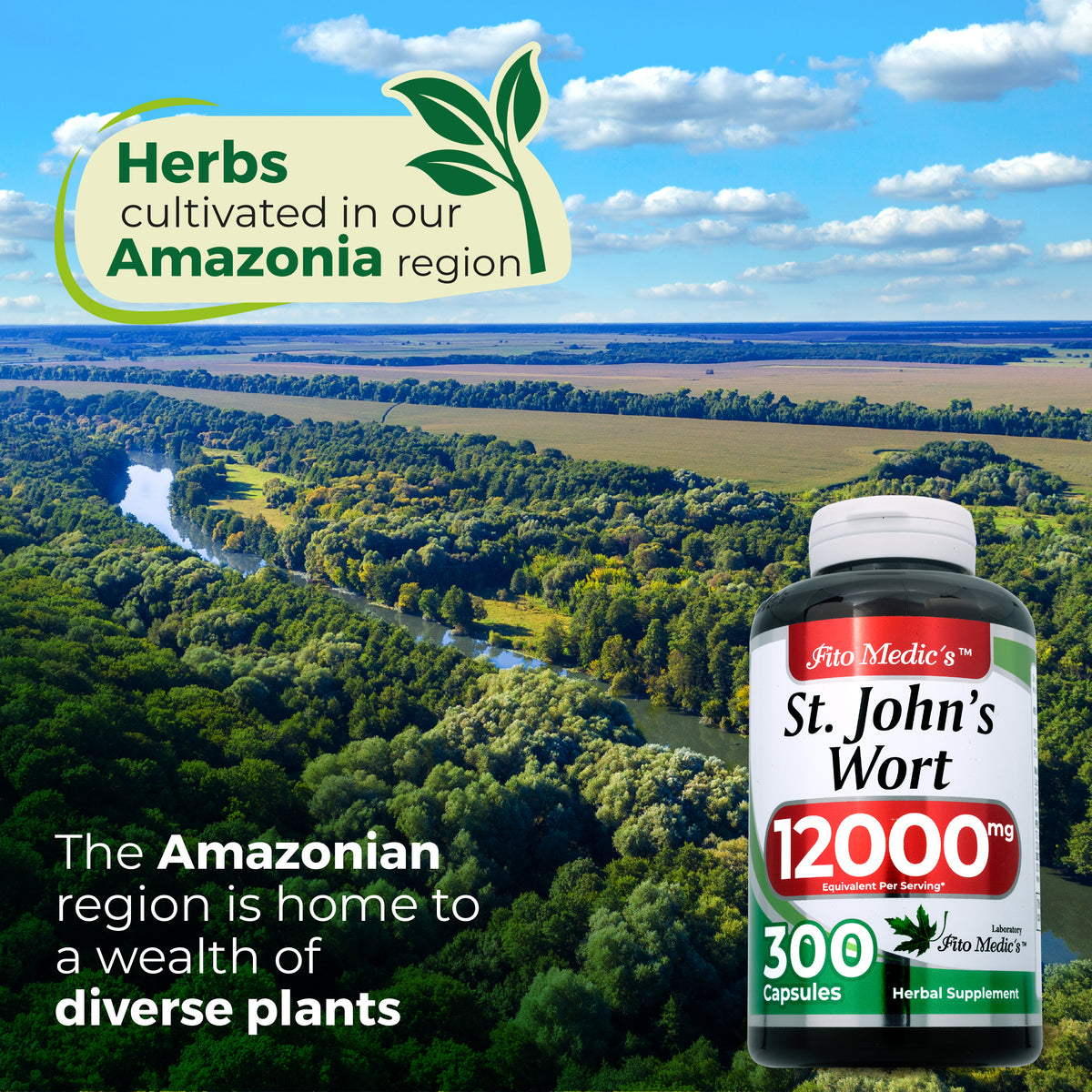 St. John’s Wort Extract 12,000 mg | 20:1 Concentrate | 300 Quick-Release Capsules | By Fito Medic's