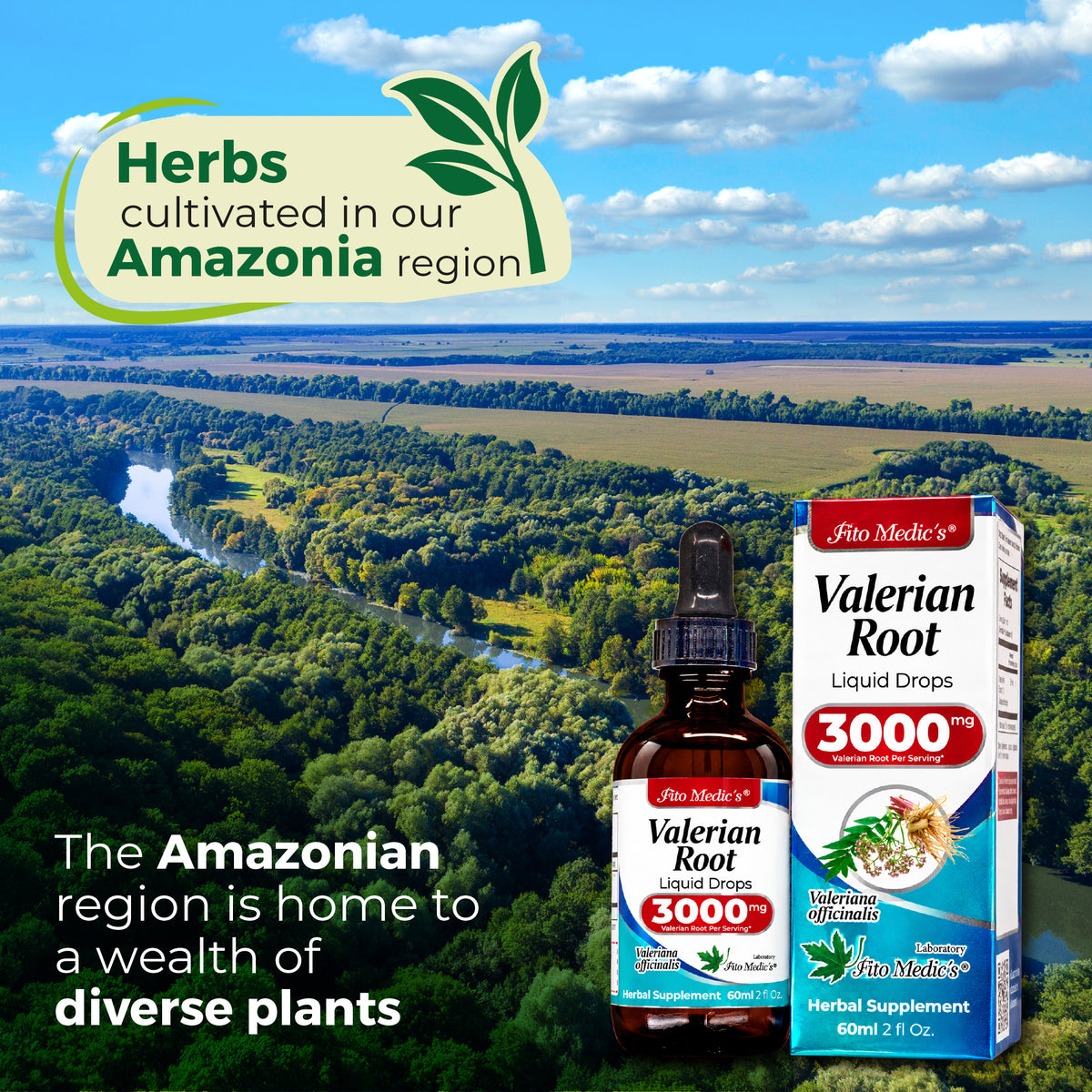 Valerian Root Drops 3000 mg | 10:1 Liquid Extract | 2 fl oz | By Fito Medic's Lab
