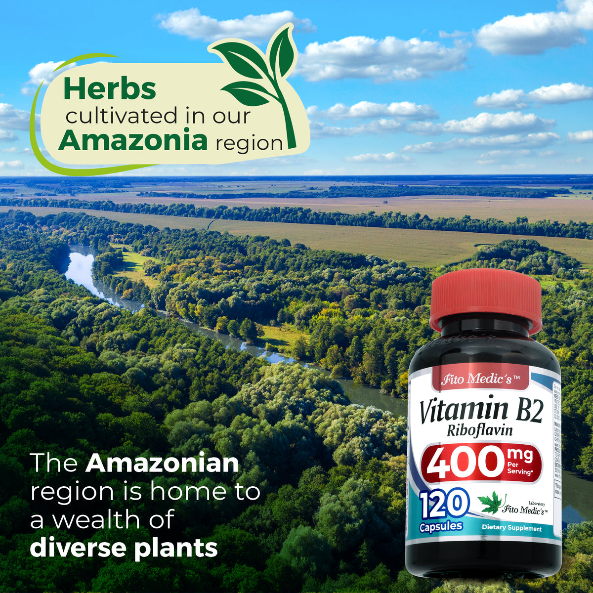 Vitamin B2 400 mg | Riboflavin | 120 Capsules | By Fito Medic's