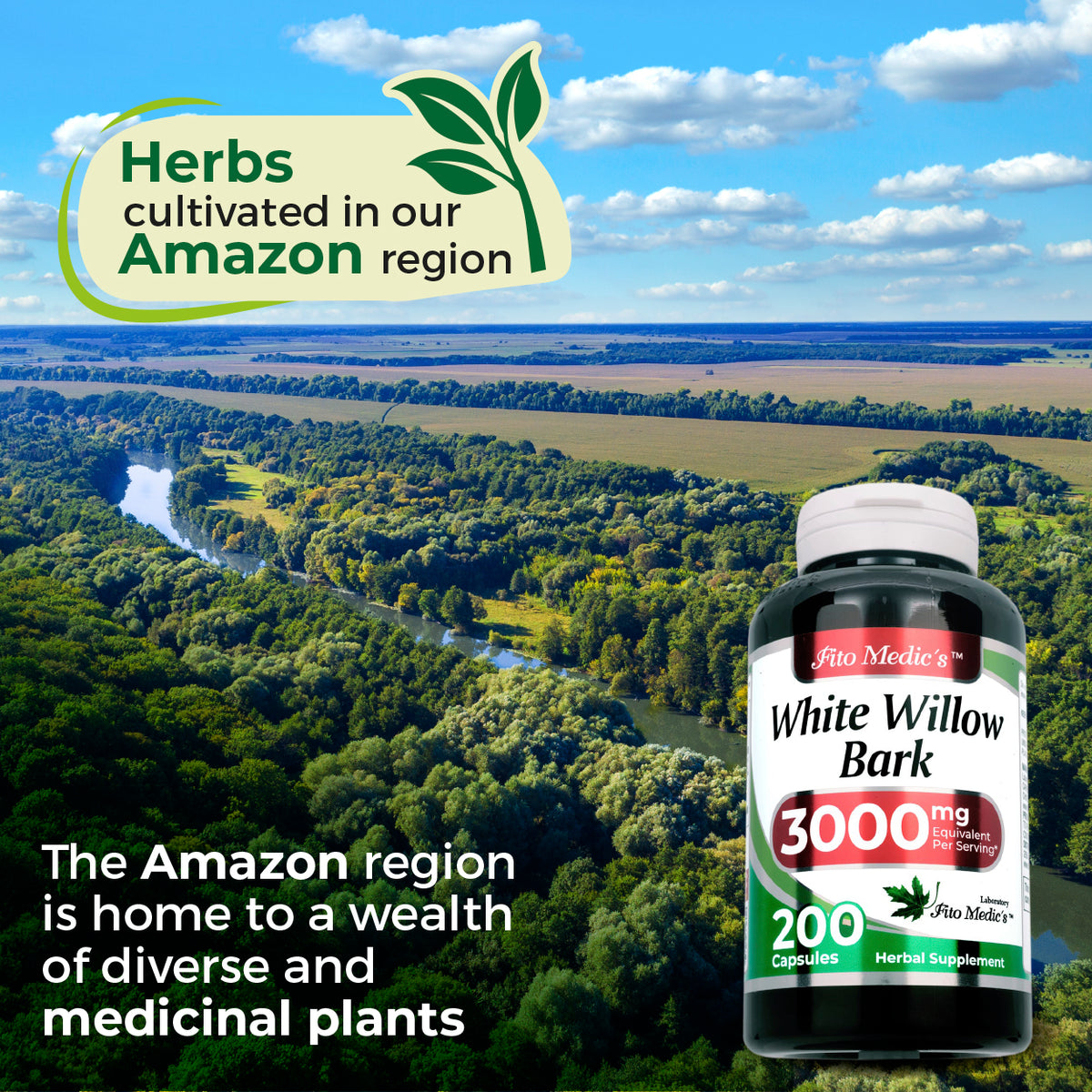 White Willow Bark Extract 12,000 mg |- 20:1 Concentrate | 180 Quick-Release Capsules | By Fito Medic's