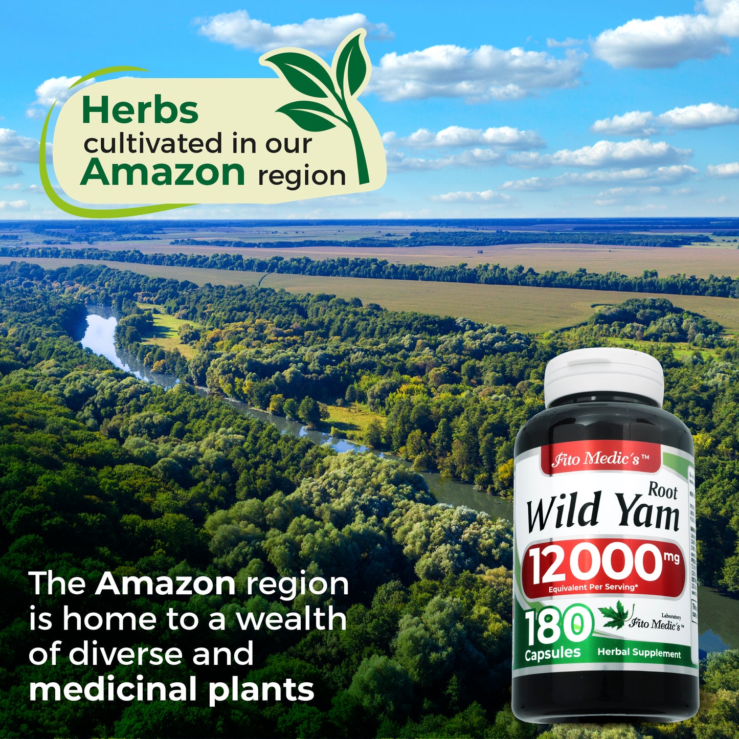 Wild yam root |180 capsules | 12000 mg | Ultra high Absorption
