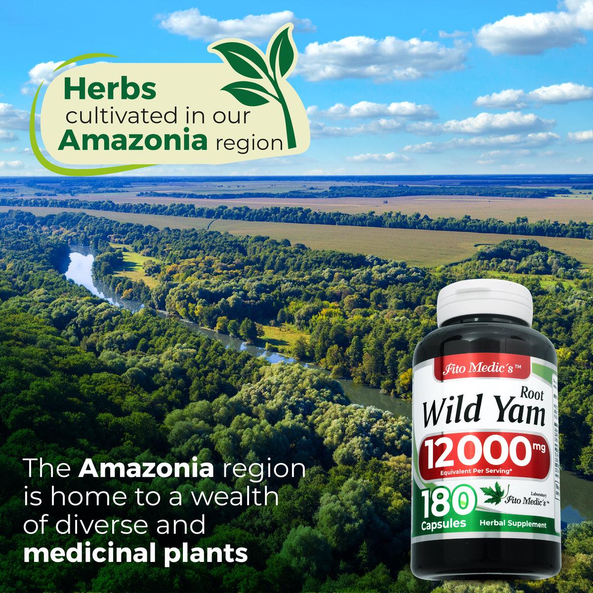 Wild Yam Root Extract 12,000 mg | 20:1 Concentrate | 180 Capsules | By Fito Medic's