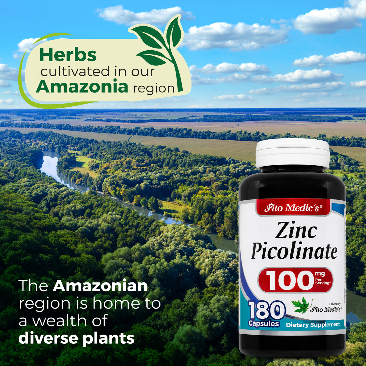 Zinc Supplements | Zinc Picolinate | Dietary Supplement | 180 Capsules