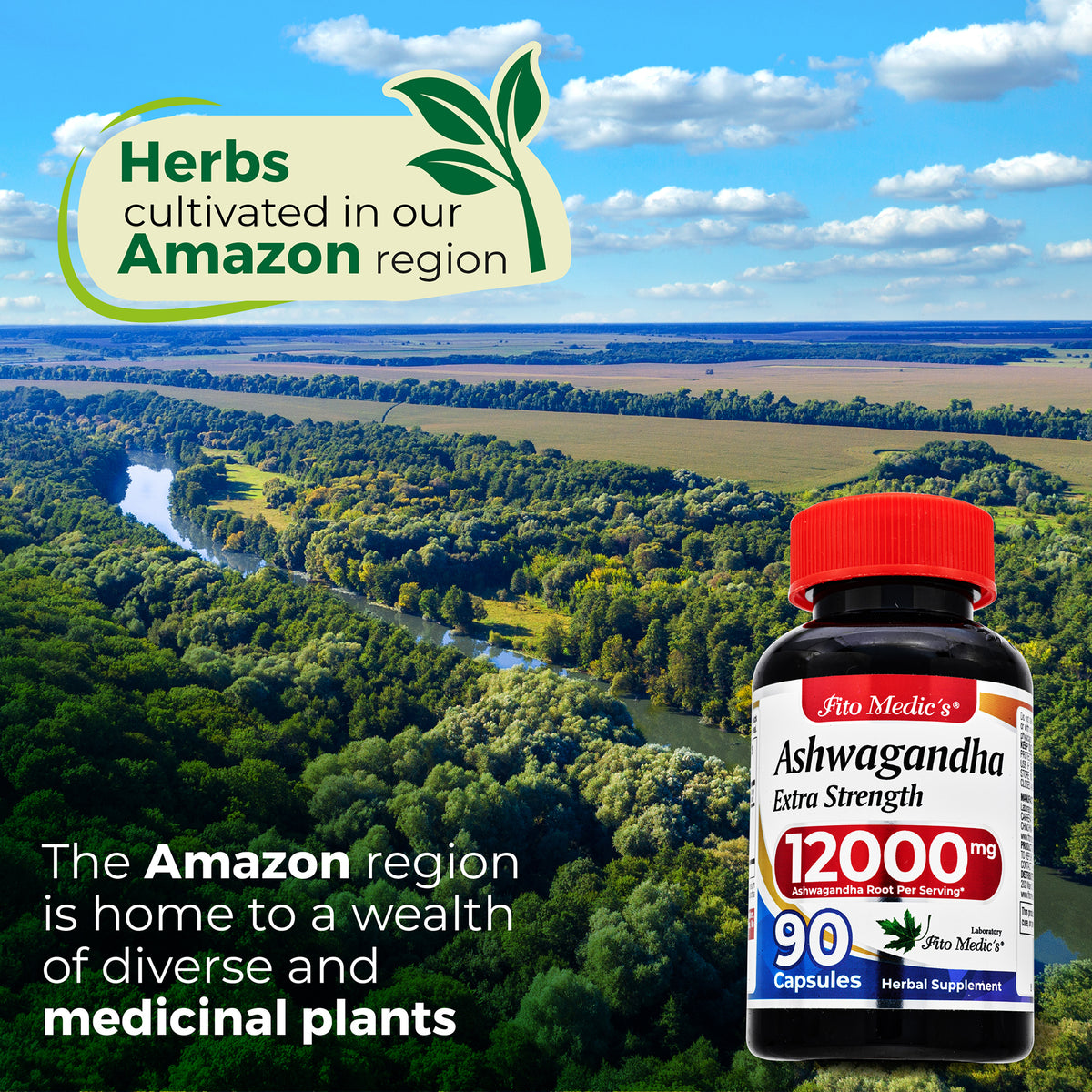 Ashwagandha Root Extract 12,000 mg | 20:1 Concentrate | 90 Capsules | By Fito Medic's